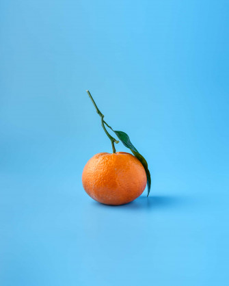 Orange iPhone Wallpaper