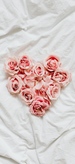 Rose Wallpaper For iPhone