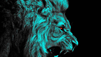 Cool Lion Wallpaper