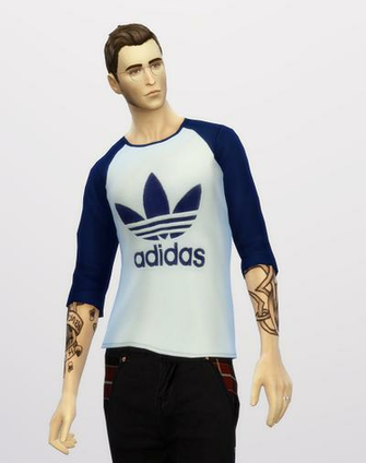 Sims Custom Content S