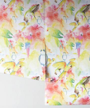 Watercolor Birds The Ultimate Tropical Bird Wallpaper Milton King