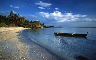 Ocean Canoe Shore Beach Palms Wallpaper
