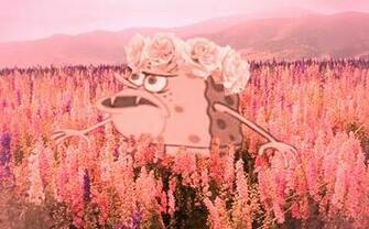 Dankest Of The Dank