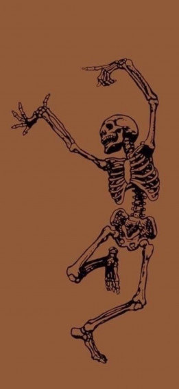 Skeleton Aesthetic Wallpaper