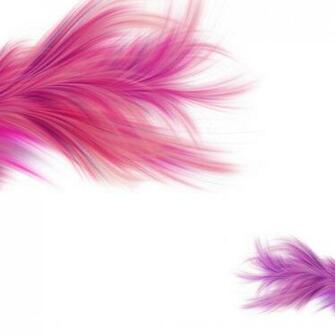 Feather iPad Wallpaper Desktop Background Photos In HD High
