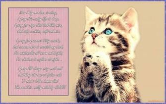 Kitten Wallpaper For Computer Weddingdressin