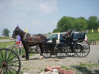 An Amish Wallpaper Picswallpaper