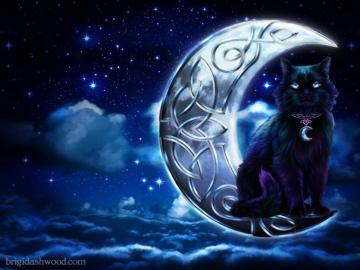 Desktop Wallpaper Brigid Ashwood