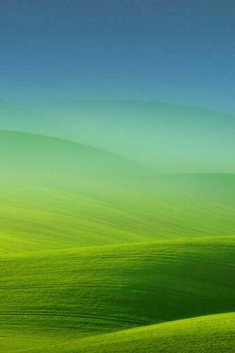 Meadow Fog Lock Screen HD Wallpaper