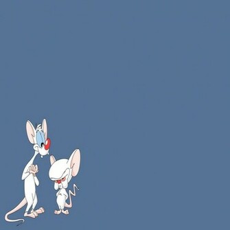 Pinky Brain iPad Wallpaper Anime Mini Background Photo Image