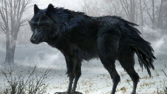 Black Wolf Art HD Wallpaper IHD