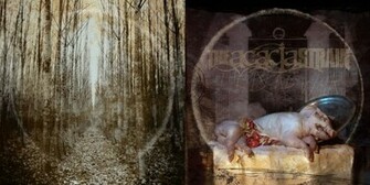Pin The Acacia Strain Wallpaper