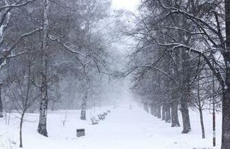 Snow Storm Wallpaper Winter Park In