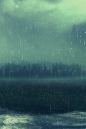 Forest Rain Wallpaper iPhone