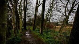 Tree Lined Path Photo Post By Alex Leonard