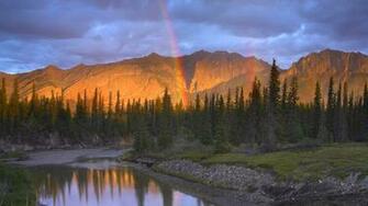 Most Beautiful Nature Rain Wallpaper