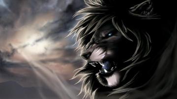 Lion 4k Wallpaper For Your Desktop Or Mobile Screen And Easy