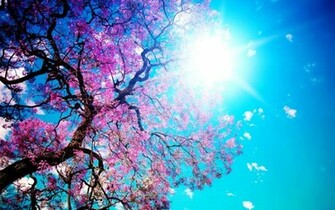 Background Wallpaper For Computer Screen Background