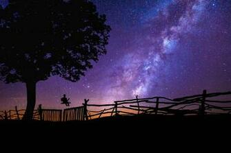 Blue Purple Night Galaxy Stars Tree 4k Wallpaper Best