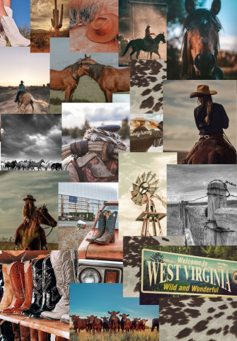 iPad Air Walpaper Western Aesthetic Horse Wallpaper