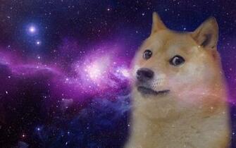 Doges