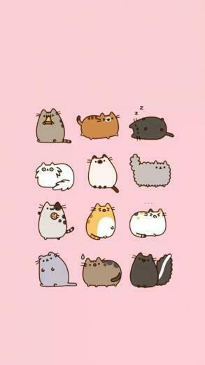 Pusheen Wallpaper Top Background
