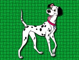 Picture Dalmatian Photo Wallpaper