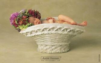 Wallpaper Photos Widescreen Baby Flowers Anne Geddes