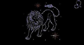 HD Wallpaper Lion Zodiac Wallpaper55 Best For