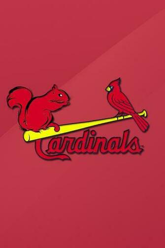 St Louis Cardinals Wallpaper iPhone Rally Squirrel