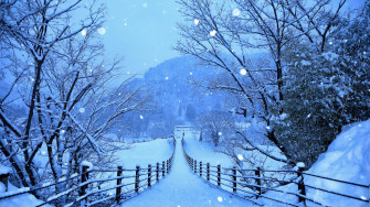 Snow Covered Road And Trees In Winter 4k HD Nature Wallpaper