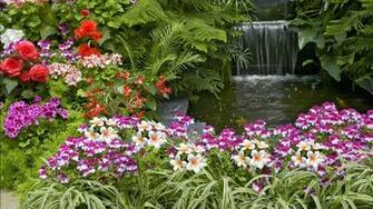 Flower Garden HD Desktop Background Wallpaper Wallpaperlepi