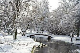 Winter Scenic Pictures