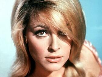 Sharon Tate Wallpaper