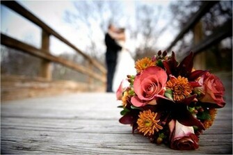 And Orange Maroon Flowers Sits On Wood Dock Brid Onewed