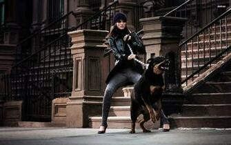 Rottie Wallpaper Image In Collection