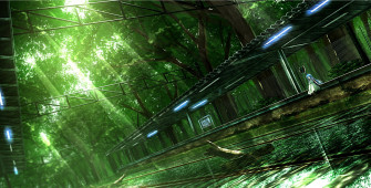 Anime Wood Nature HD Wallpaper Desktop And Mobile Image Photos