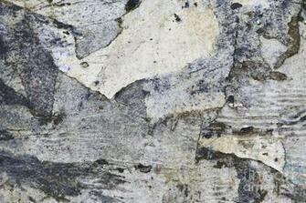 Ragged Background Photograph By Michal Boubin