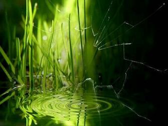 Realistic Cracked And Broken Screen Wallpaper