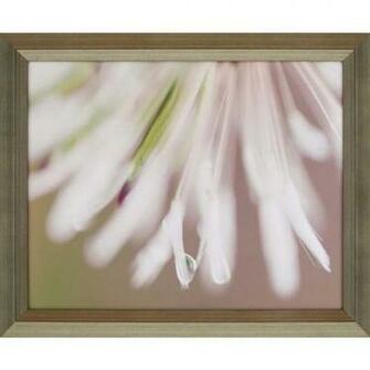 Modern Nature Ii Wall Art By Candice Olson For Paragon Picture Gallery