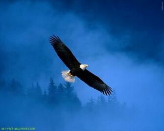 Eagle And Flag Wallpaper For