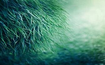 Pure 4k Wallpaper Top Background