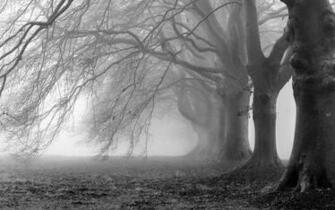 Creepy Background Pictures