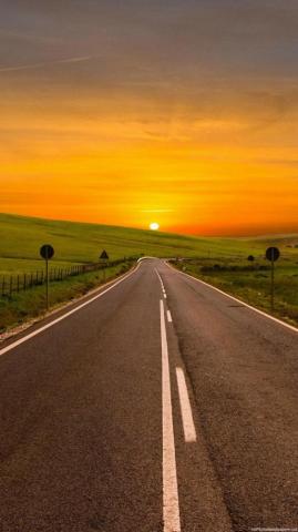 Autumn Wallpaper Tree Nature Leaf Road Natural Landscape