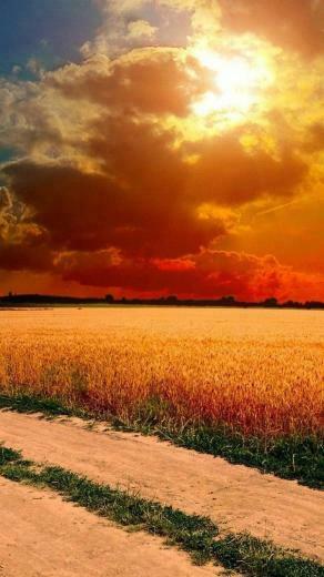 Theme iPhone Inches Type Wallpaper For N