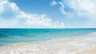 Quote Beach Wallpaper HD Desktop And Mobile Background
