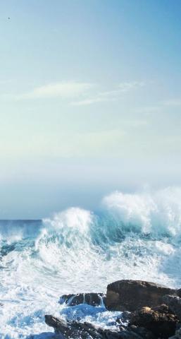 P I N T E R S Roseburst Ocean Wallpaper Blue