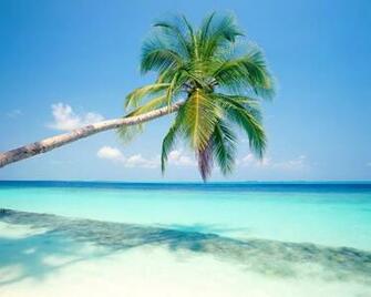 Bora Island HD Wallpaper IwallHD