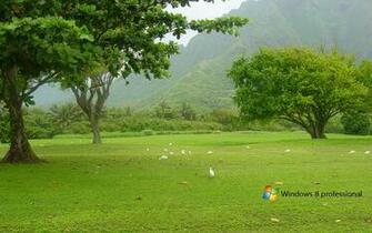 Wallpaper Windows Desktop Background Full Screen