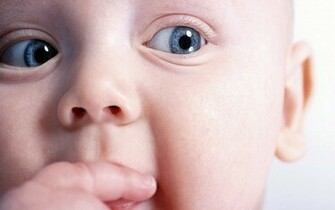 Funny Baby Wallpaper The Confissoespos S